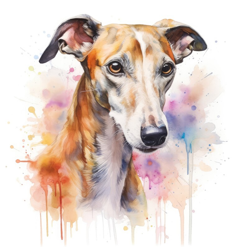Puede incluir: Pintura acuarela de un perro galgo marr&oacute;n y blanco con un fondo de acuarela colorido.