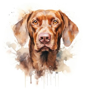 Aquarell Vizsla Clipart | 10 Hochwertige JPG | Scrapbooking, Kartenherstellung, Digital Paper Craft | Kommerzielle Nutzung | Digitaler Download