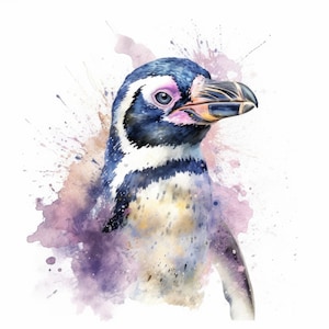 Pinguino africano Cape Penguin Clipart Acquerello / 10 JPG di alta qualità / Scrapbooking, Creazione di carte / Uso commerciale / Download digitale