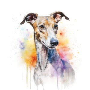 Puede incluir: Pintura acuarela de un galgo con manchas marrones. El perro est&aacute; mirando hacia un lado y tiene una expresi&oacute;n suave y gentil. El fondo es una acuarela colorida de amarillo, naranja, rosa y morado.