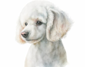 Witte poedel puppy clipart aquarel | 10 JPG van hoge kwaliteit | Scrapbooking, kaarten maken, afdrukbaar | Commercieel gebruik | Digitaal downloaden