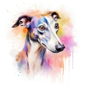 Puede incluir: Pintura de acuarela de un galgo con un fondo colorido. El pelaje del perro est&aacute; pintado en tonos de azul, morado y marr&oacute;n. El fondo es una acuarela de rosa, naranja y amarillo.
