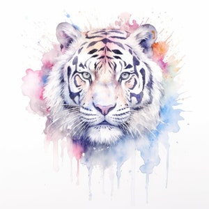 Op de afbeelding: Een aquarel schilderij van een witte tijger met zwarte strepen. Het gezicht van de tijger is het middelpunt van het schilderij en is omringd door kleurrijke aquarel spatten.