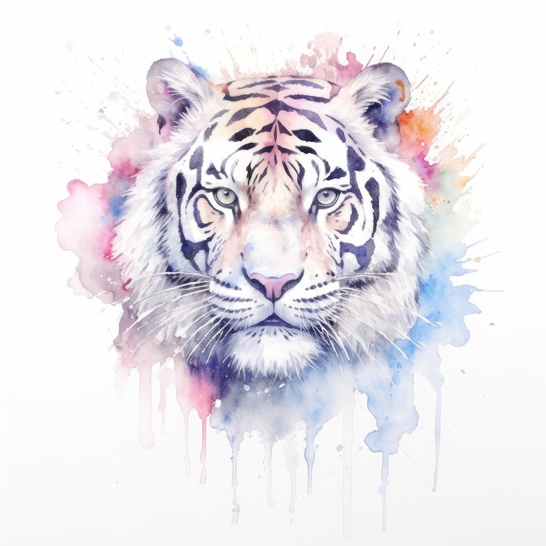 Op de afbeelding: Een aquarel schilderij van een witte tijger met zwarte strepen. Het gezicht van de tijger is het middelpunt van het schilderij en is omringd door kleurrijke aquarel spatten.