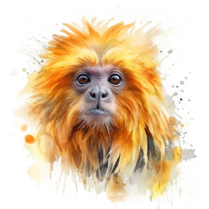 Golden Lion Tamarin Clipart Acuarela / 10 JPG de alta calidad / Scrapbooking, Fabricación de tarjetas, Imprimible / Uso comercial / Descarga digital