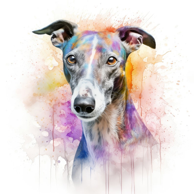 Puede incluir: Una pintura de acuarela de un galgo con salpicaduras de pintura coloridas en el fondo.