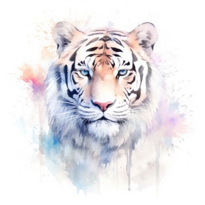Op de afbeelding: Een aquarel schilderij van een wit tijger gezicht met blauwe ogen. De tijger is omringd door kleurrijke aquarel spatten.