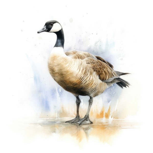 Canada Geese Clipart Watercolor | 10 High Quality JPG | Scrapbooking, Card Making, Printable | Commercial Use | Digital Download