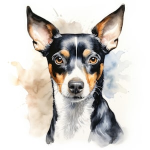 Acquerello Toy Fox Terrier Clipart / 10 JPG di alta qualità / Scrapbooking, Creazione di carte, Mestiere di carta digitale / Download digitale per uso commerciale
