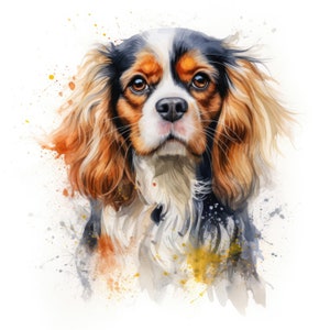 Cavalier King Charles Spaniel Clipart / 10 JPG di alta qualità / Scrapbooking, creazione di carte, artigianato di carta digitale uso commerciale download digitale