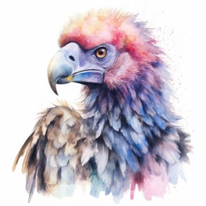 Watercolor Vulture Clipart | 10 High Quality JPG | Scrapbooking, Card making, Digital Paper Craft | Commercial Use | Digital Download