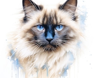 Birman Cat Clipart | 10 High Quality JPG | Scrapbooking, Card making, Digital Paper Craft | Commercial Use | Digital Download