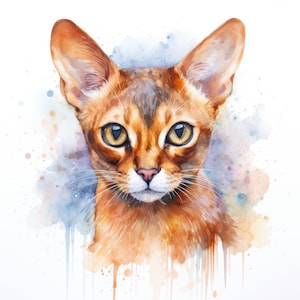 Imágenes prediseñadas de gato abisinio / 10 JPG de alta calidad / Scrapbooking, fabricación de tarjetas, artesanía de papel digital / uso comercial / descarga digital
