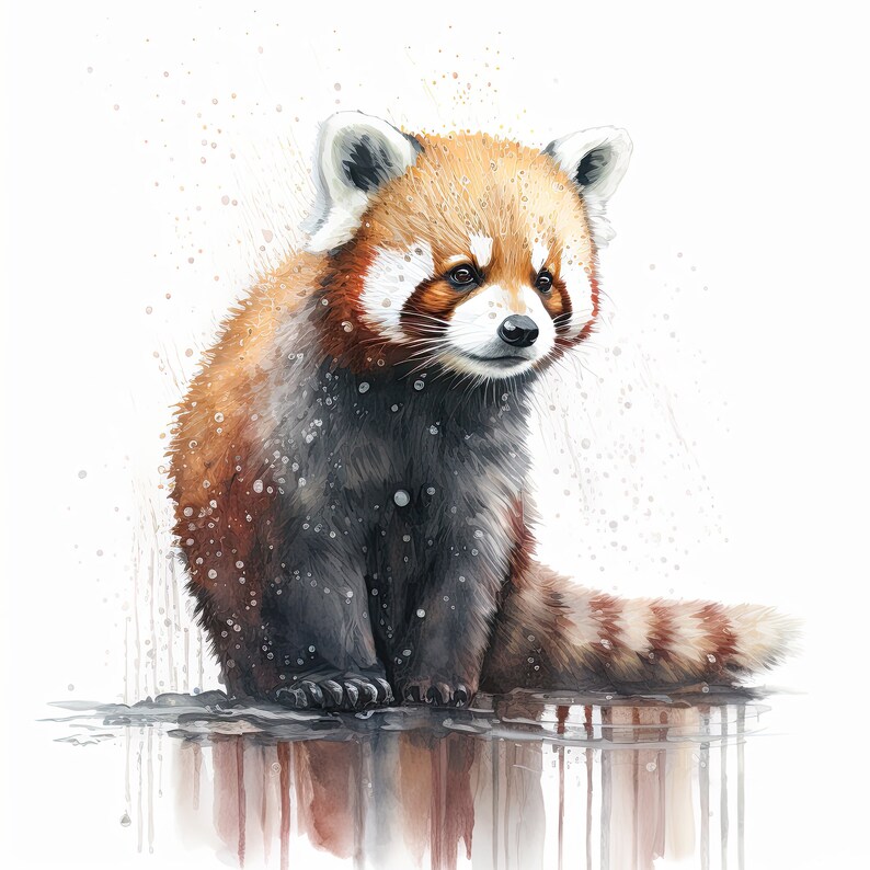May include: A watercolor painting of a red panda sitting on a rock with water droplets falling around it. The red panda has a reddish-brown coat with black markings and a white face.