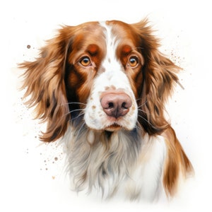 Welsh Springer Spaniel Clipart | 10 High Quality JPG | Scrapbooking, Card making, Digital Paper Craft | Commercial Use | Digital Download