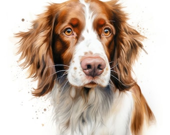 Welsh Springer Spaniel Clipart | 10 High Quality JPG | Scrapbooking, Card making, Digital Paper Craft | Commercial Use | Digital Download