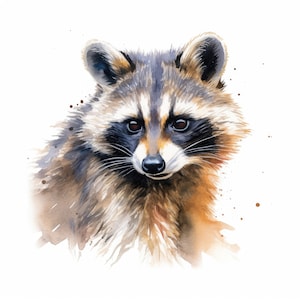 Clipart de raton laveur aquarelle | 10 JPG de haute qualité | Scrapbooking, fabrication de cartes, création numérique en papier | Utilisation commerciale | Téléchargement numérique