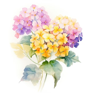 Lantana Blumen Clipart | 10 Hochwertige JPG | Scrapbooking, Kartenherstellung, Digital Paper Craft | Kommerzielle Nutzung | Digitaler Download