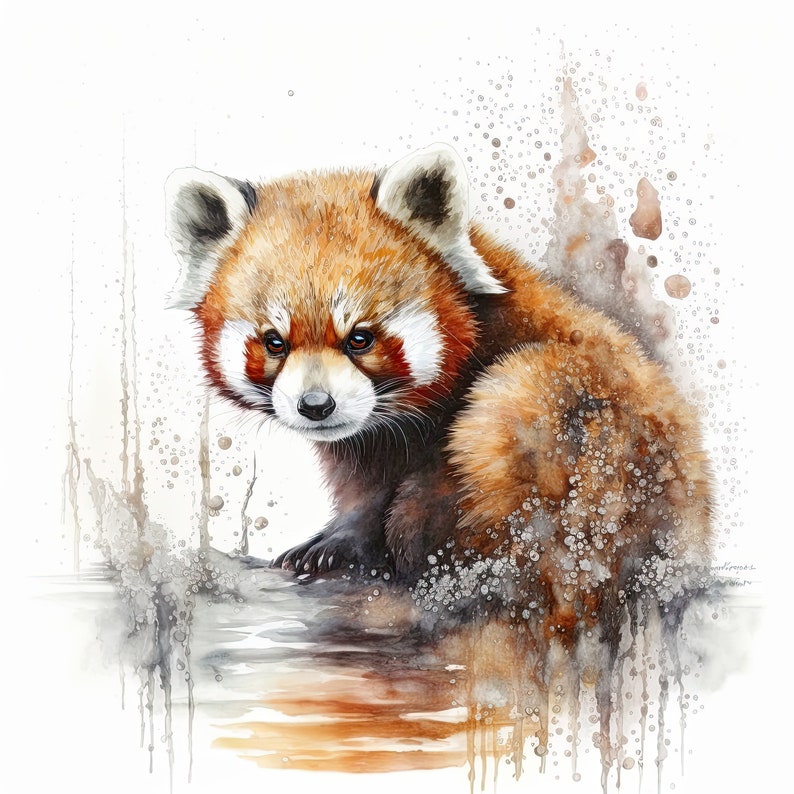 May include: A watercolor painting of a red panda sitting on a rock with a white background. The red panda is looking to the left of the image. The painting has a watercolor splatter effect.