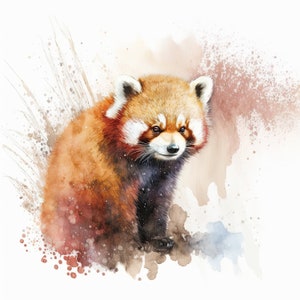 May include: A watercolor painting of a red panda sitting on a brown and white background. The red panda has a reddish-brown coat with white markings on its face and a black nose.
