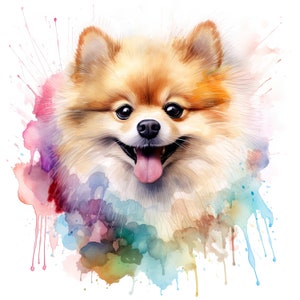 Acuarela Pomeranian Clipart / 10 JPG de alta calidad / Scrapbooking, Fabricación de tarjetas, Artesanía de papel digital / Uso comercial / Descarga digital