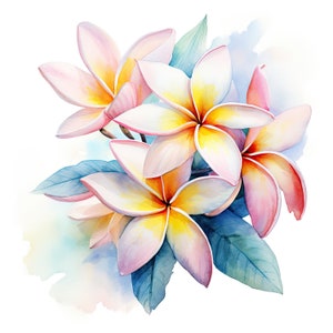 Plumeria Fleur Clipart | 10 JPG de haute qualité | Scrapbooking, fabrication de cartes, création de papier numérique | Utilisation commerciale | Téléchargement numérique