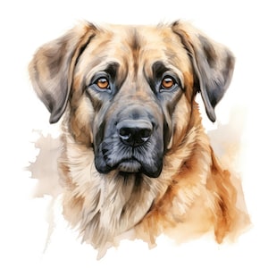 Anatolian Shepherd Clipart | 10 High Quality JPG | Scrapbooking, Card making, Digital Paper Craft | Commercial Use | Digital Download