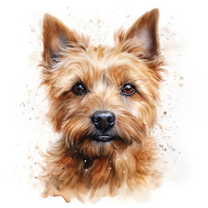 以下が含まれることがあります： 柔らかくふわふわの毛並みの茶色と黄褐色のテリア犬の水彩画。犬は優しい表情で、直接鑑賞者を見つめている。