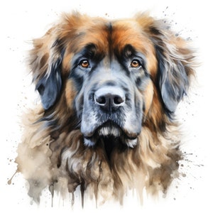 Watercolor Leonberger Clipart | 10 High Quality JPG | Scrapbooking, Card making, Digital Paper Craft | Commercial Use | Digital Download