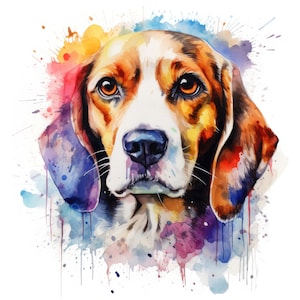 Aquarell Beagle Clipart | 10 hochwertige JPG | Scrapbooking, Kartengestaltung, Digital Paper Craft | Kommerzielle Nutzung | Digitaler Download