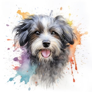 Watercolor Havanese Clipart | 10 High Quality JPG | Scrapbooking, Card making, Digital Paper Craft | Commercial Use | Digital Download