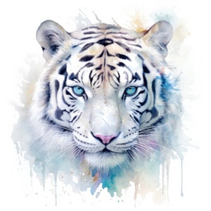 Op de afbeelding: Een witte tijger met blauwe ogen, geschilderd in aquarel met spatten van kleur eromheen.