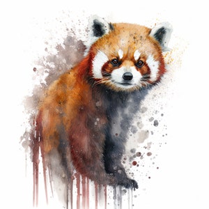 May include: Watercolor painting of a red panda with a white background. The red panda is looking directly at the viewer with a serious expression. The painting is done in a realistic style and features a lot of detail.