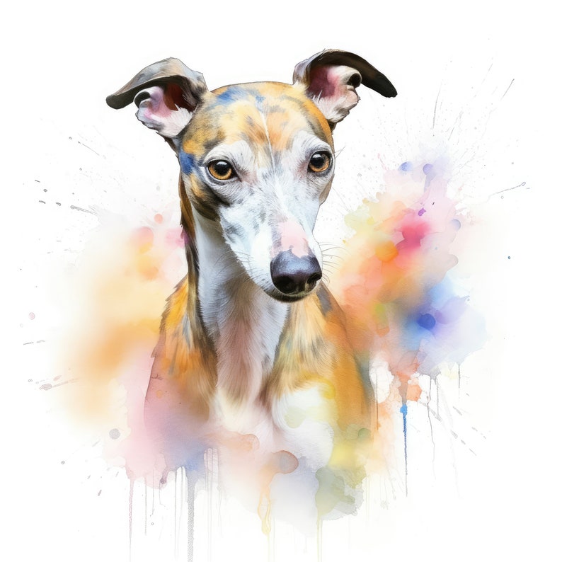 Puede incluir: Una pintura de acuarela de un perro Whippet con marcas marrones, blancas y negras. El perro est&aacute; mirando directamente al espectador. El fondo es una acuarela colorida de rosa, naranja, amarillo y azul.