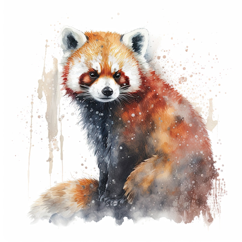 May include: Watercolor painting of a red panda sitting on a white background with brown splatter paint. The red panda has a reddish-brown body with black legs and a white face.