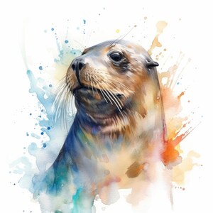 May include: A watercolour painting of a sea lion's head, showcasing detailed fur and whiskers. The artwork uses vibrant splashes of blue, orange, and yellow watercolour paint, creating a colourful artistic effect against a white background.
