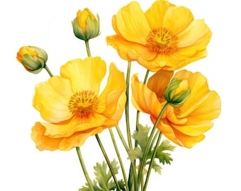 Buttercup Flower Clipart | 10 High Quality JPG | Scrapbooking, Card making, Digital Paper Craft | Commercial Use | Digital Download