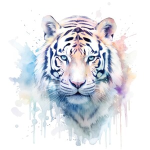 Op de afbeelding: Een aquarel schilderij van een witte tijger met blauwe ogen. De tijger kijkt recht naar de kijker. De achtergrond is een zachte blauwe en paarse aquarel was.