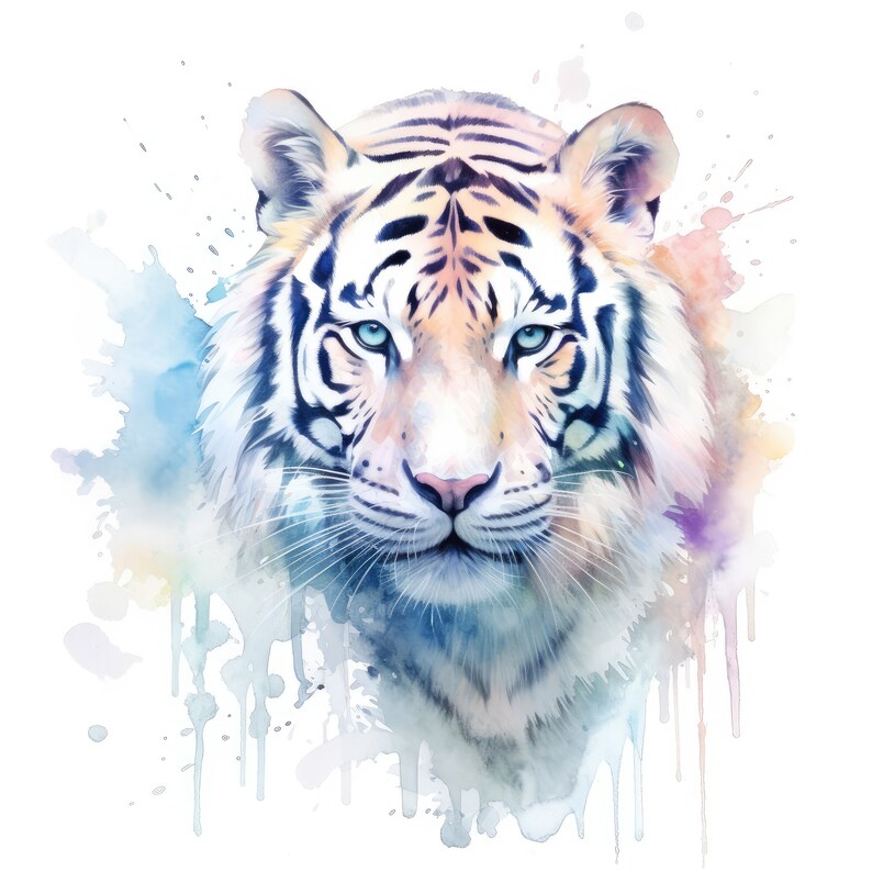 Op de afbeelding: Een aquarel schilderij van een witte tijger met blauwe ogen. De tijger kijkt recht naar de kijker. De achtergrond is een zachte blauwe en paarse aquarel was.
