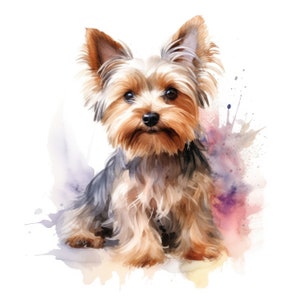 Clipart Yorkshire Terrier / 10 JPG di alta qualità / Scrapbooking, Creazione di cartoline, Mestiere di carta digitale / Uso commerciale / Download digitale