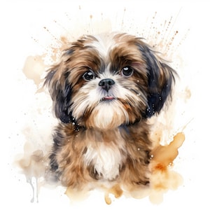 Shih Tzu Clipart | 10 High Quality JPG | Scrapbooking, Card making, Digital Paper Craft | Commercial Use | Digital Download