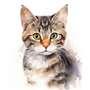 American Wirehair Clipart / 10 JPG di alta qualità / Scrapbooking, Creazione di carte, Mestiere di carta digitale / Uso commerciale / Download digitale
