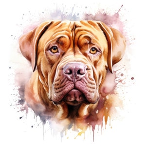 Dogue de Bordeaux Clipart | 10 fichiers JPG de haute qualité | Scrapbooking, fabrication de cartes, création numérique en papier | Utilisation commerciale | Téléchargement numérique