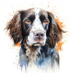 English Springer Spaniel Clipart | 10 High Quality JPG | Scrapbooking, Card making, Digital Paper Craft | Commercial Use | Digital Download