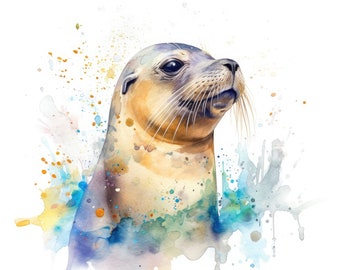 California Sea Lion Clipart Watercolor | 10 High Quality JPG | Scrapbooking, Card Making, Printable | Commercial Use | Digital Download