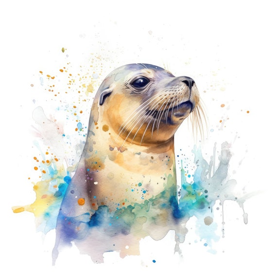 California Sea Lion Clipart Watercolor | 10 High Quality JPG | Scrapbooking, Card Making, Printable | Commercial Use | Digital Download