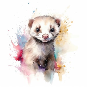 Watercolor Ferret Clipart | 10 High Quality JPG | Scrapbooking, Card making, Digital Paper Craft | Commercial Use | Digital Download