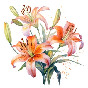 Tiger Lilie Blumen Clipart | 10 Hochwertige JPG | Scrapbooking, Kartenherstellung, Digital Paper Craft | Kommerzielle Nutzung | Digitaler Download