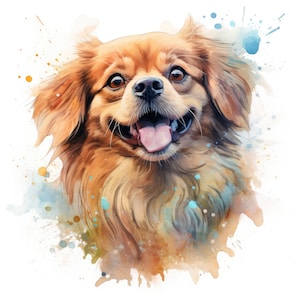 Tibetan Spaniel Clipart | 10 High Quality JPG | Scrapbooking, Card making, Digital Paper Craft | Commercial Use | Digital Download
