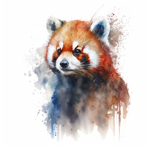 May include: Watercolor painting of a red panda with a white background. The red panda is facing the left side of the image and has a red and white face with black eyes. The red panda is surrounded by watercolor splatters in shades of blue, brown, and gray.